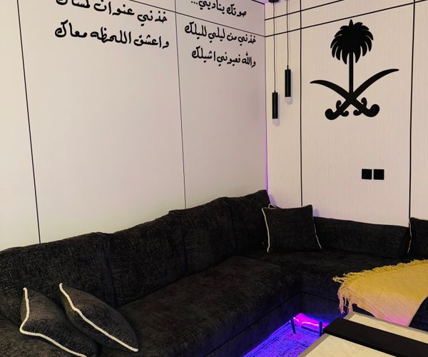 شقة بتصميم مودرن ودخول ذاتي